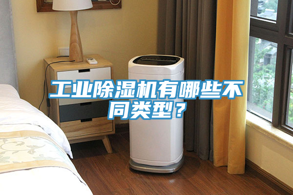 工業(yè)除濕機(jī)有哪些不同類型？