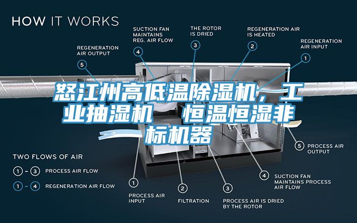 怒江州高低溫除濕機，工業(yè)抽濕機  恒溫恒濕非標(biāo)機器
