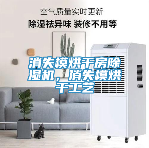 消失模烘干房除濕機(jī)，消失模烘干工藝