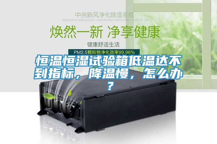 恒溫恒濕試驗(yàn)箱低溫達(dá)不到指標(biāo)，降溫慢，怎么辦？