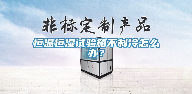 恒溫恒濕試驗(yàn)箱不制冷怎么辦？