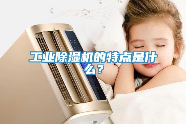 工業(yè)除濕機(jī)的特點(diǎn)是什么？
