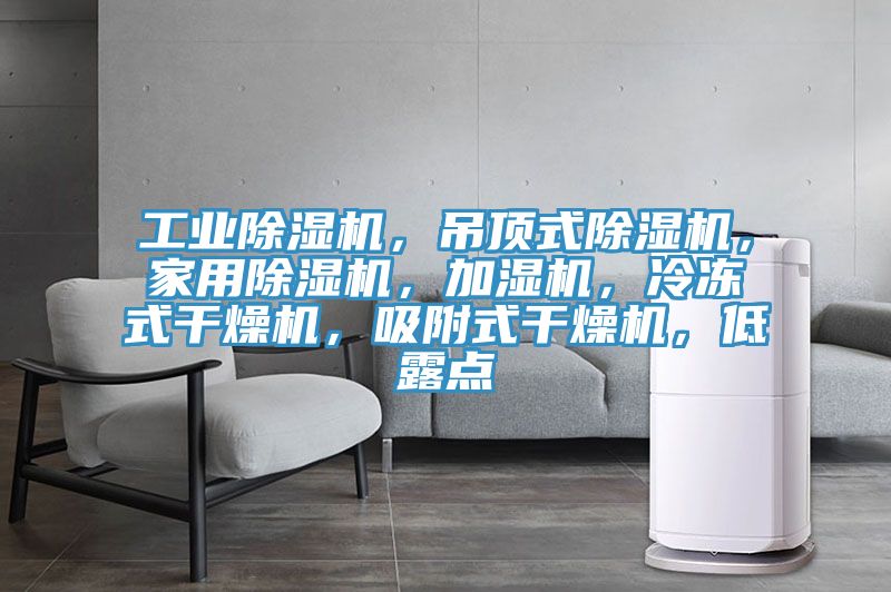 工業(yè)除濕機(jī)，吊頂式除濕機(jī)，家用除濕機(jī)，加濕機(jī)，冷凍式干燥機(jī)，吸附式干燥機(jī)，低露點(diǎn)