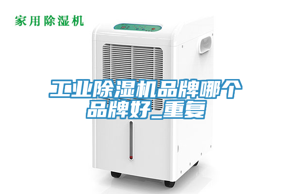 工業(yè)除濕機(jī)品牌哪個品牌好_重復(fù)