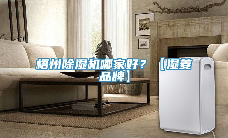 梧州除濕機(jī)哪家好？【濕菱品牌】