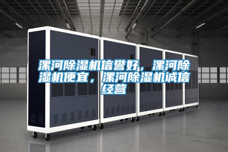 漯河除濕機(jī)信譽(yù)好，漯河除濕機(jī)便宜，漯河除濕機(jī)誠(chéng)信經(jīng)營(yíng)