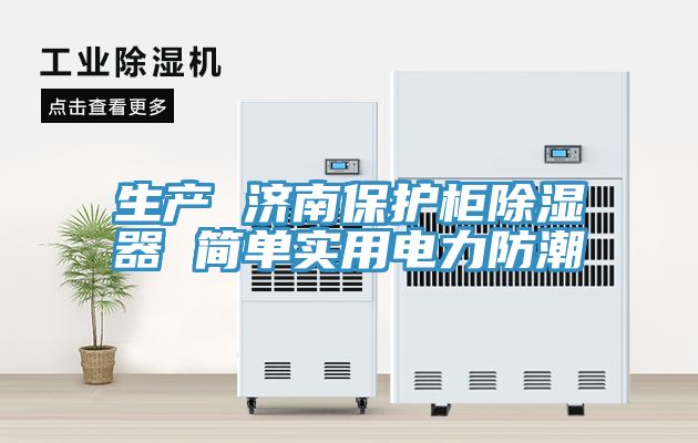 生產(chǎn) 濟南保護(hù)柜除濕器 簡單實用電力防潮