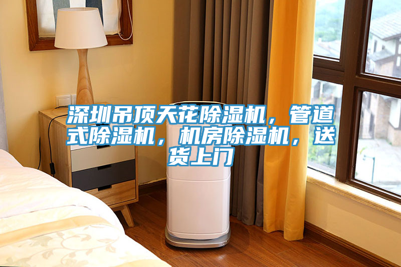 深圳吊頂天花除濕機，管道式除濕機，機房除濕機，送貨上門