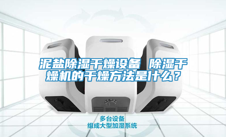 泥鹽除濕干燥設(shè)備 除濕干燥機的干燥方法是什么？