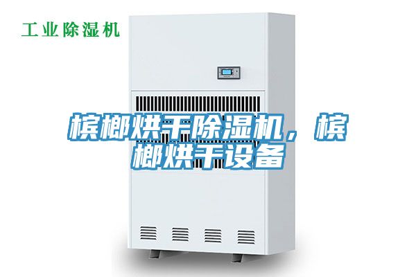 檳榔烘干除濕機(jī)，檳榔烘干設(shè)備