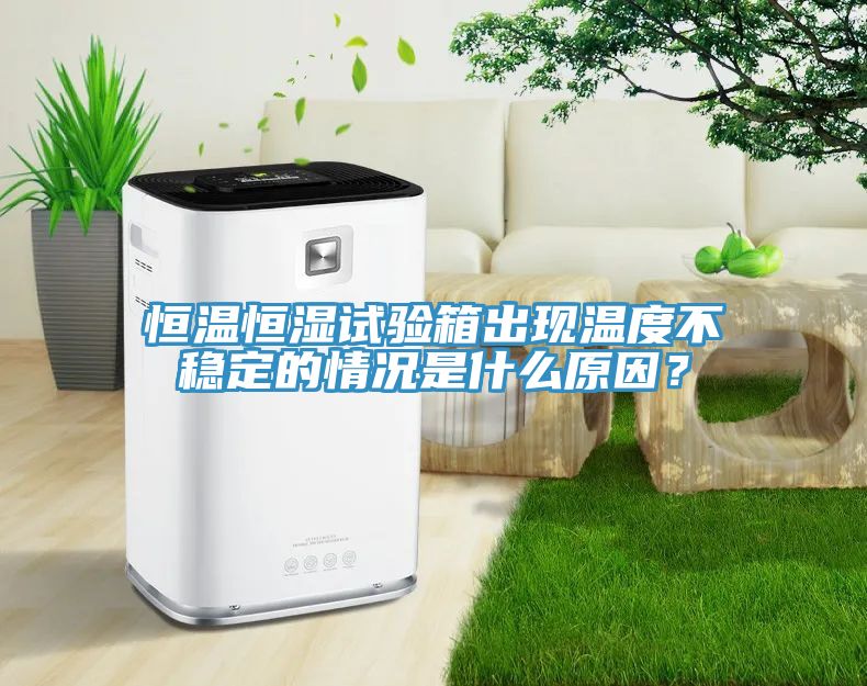 恒溫恒濕試驗箱出現(xiàn)溫度不穩(wěn)定的情況是什么原因？