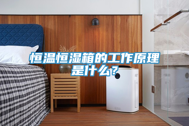 恒溫恒濕箱的工作原理是什么？