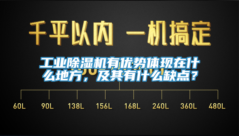 工業(yè)除濕機(jī)有優(yōu)勢體現(xiàn)在什么地方，及其有什么缺點(diǎn)？