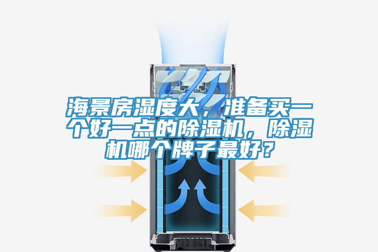 海景房濕度大，準備買一個好一點的除濕機，除濕機哪個牌子最好？