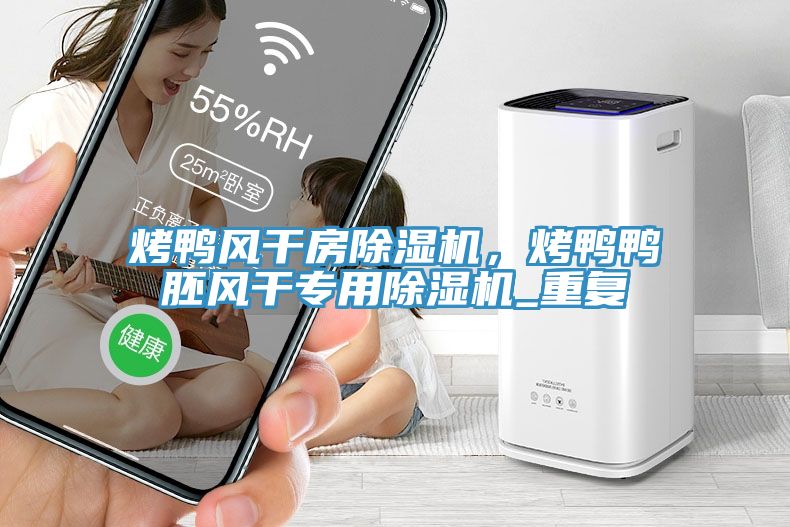 烤鴨風(fēng)干房除濕機(jī)，烤鴨鴨胚風(fēng)干專用除濕機(jī)_重復(fù)
