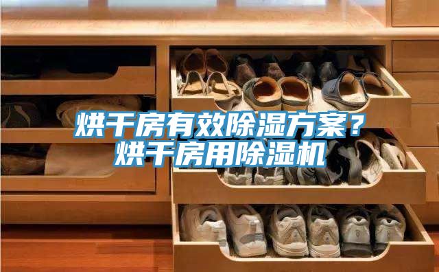 烘干房有效除濕方案？烘干房用除濕機