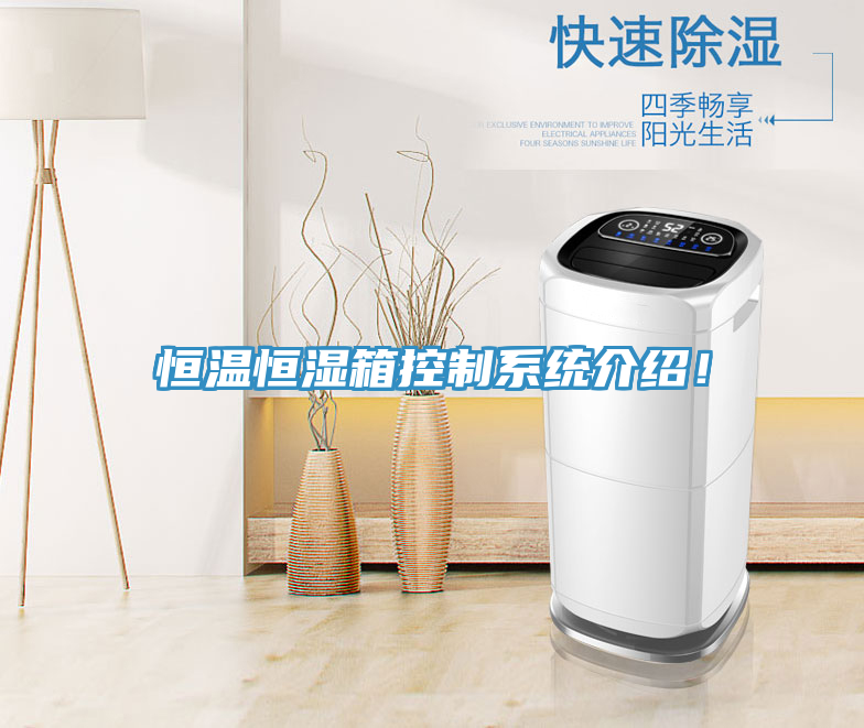 恒溫恒濕箱控制系統(tǒng)介紹！