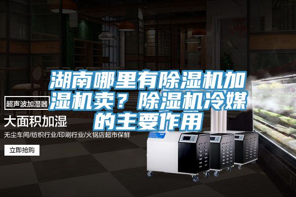 湖南哪里有除濕機(jī)加濕機(jī)賣(mài)？除濕機(jī)冷媒的主要作用