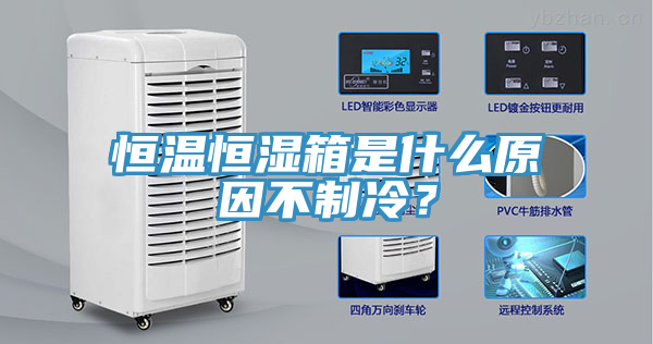 恒溫恒濕箱是什么原因不制冷？