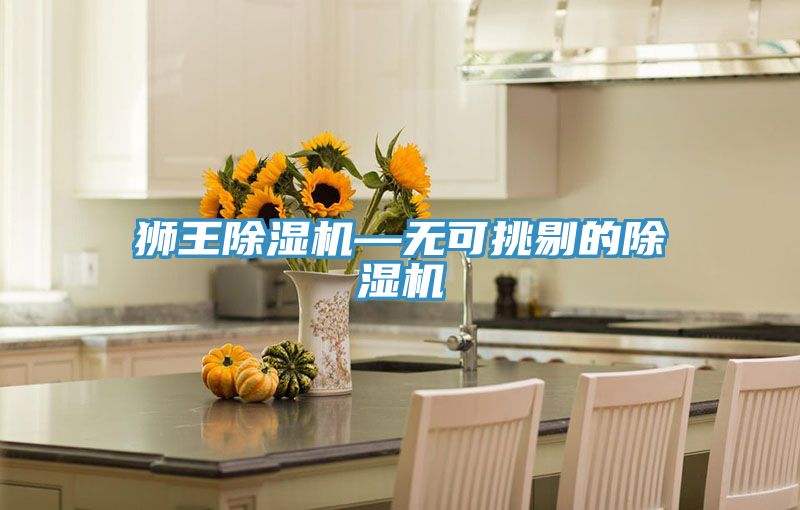 獅王除濕機(jī)—無(wú)可挑剔的除濕機(jī)