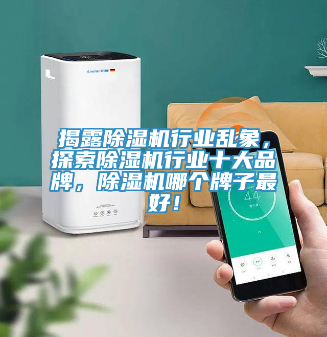 揭露除濕機(jī)行業(yè)亂象，探索除濕機(jī)行業(yè)十大品牌，除濕機(jī)哪個(gè)牌子最好！