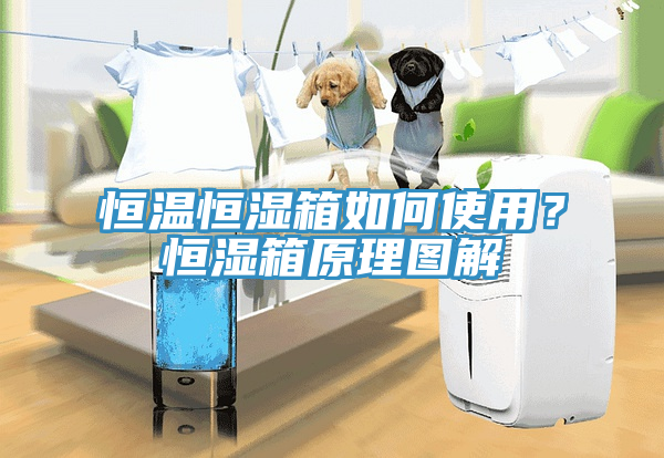 恒溫恒濕箱如何使用？恒濕箱原理圖解