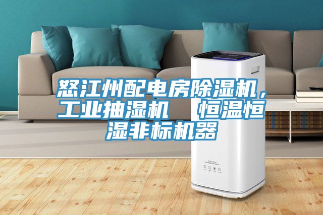 怒江州配電房除濕機，工業(yè)抽濕機  恒溫恒濕非標(biāo)機器