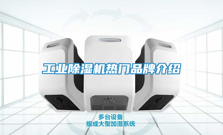 工業(yè)除濕機(jī)熱門(mén)品牌介紹