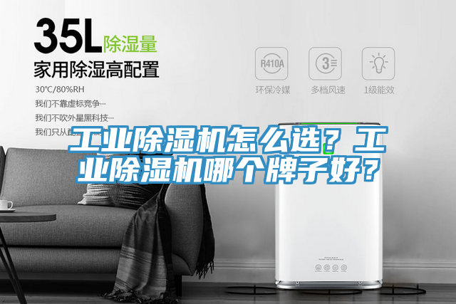工業(yè)除濕機怎么選？工業(yè)除濕機哪個牌子好？