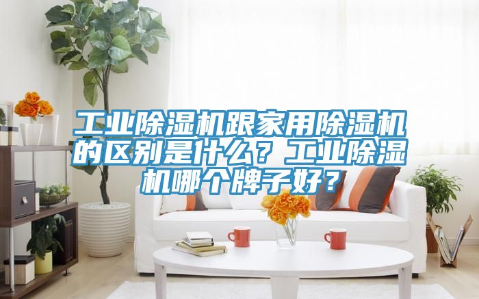 工業(yè)除濕機(jī)跟家用除濕機(jī)的區(qū)別是什么？工業(yè)除濕機(jī)哪個(gè)牌子好？