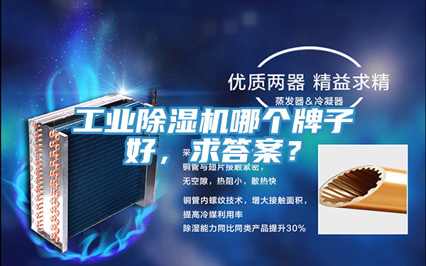工業(yè)除濕機(jī)哪個(gè)牌子好，求答案？