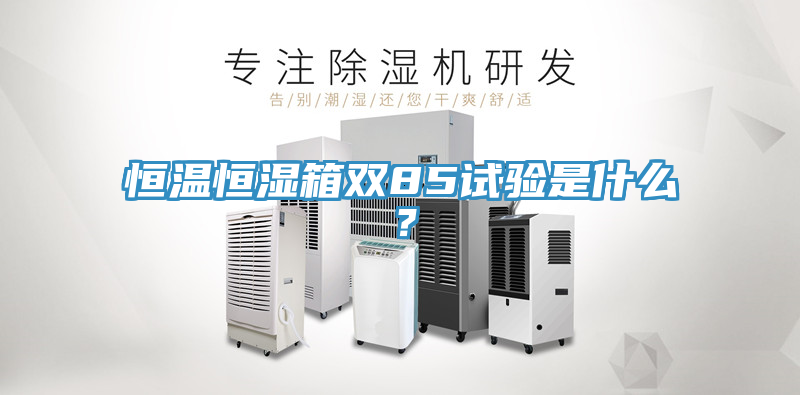 恒溫恒濕箱雙85試驗(yàn)是什么？