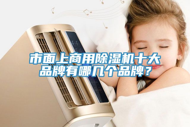 市面上商用除濕機十大品牌有哪幾個品牌？