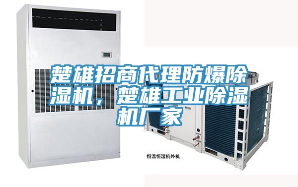 楚雄招商代理防爆除濕機(jī)，楚雄工業(yè)除濕機(jī)廠家