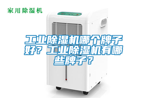 工業(yè)除濕機(jī)哪個牌子好？工業(yè)除濕機(jī)有哪些牌子？