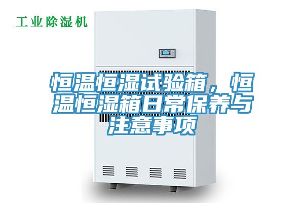 恒溫恒濕試驗(yàn)箱，恒溫恒濕箱日常保養(yǎng)與注意事項(xiàng)