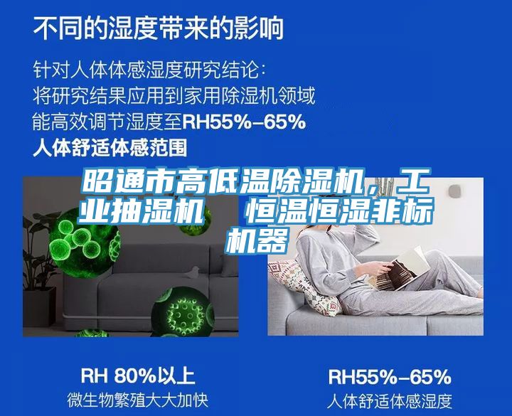 昭通市高低溫除濕機(jī)，工業(yè)抽濕機(jī)  恒溫恒濕非標(biāo)機(jī)器