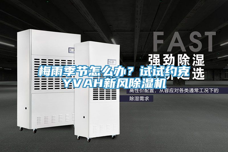 梅雨季節(jié)怎么辦？試試約克YVAH新風(fēng)除濕機(jī)