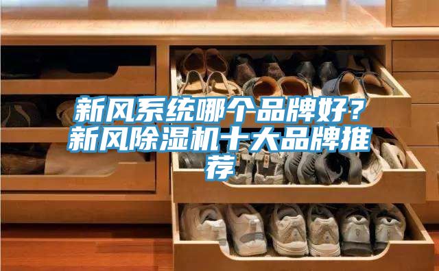 新風系統(tǒng)哪個品牌好？新風除濕機十大品牌推薦