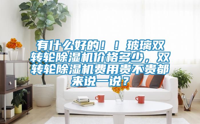 有什么好的?。〔Ａщp轉(zhuǎn)輪除濕機(jī)價(jià)格多少，雙轉(zhuǎn)輪除濕機(jī)費(fèi)用貴不貴都來說一說？