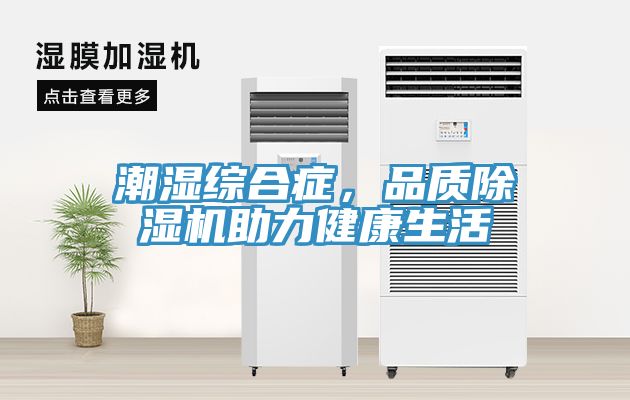 潮濕綜合癥，品質(zhì)除濕機助力健康生活
