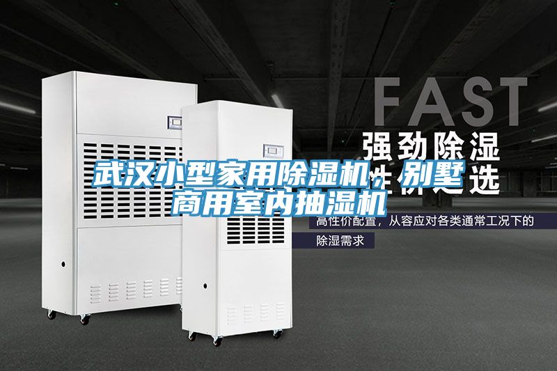 武漢小型家用除濕機，別墅商用室內(nèi)抽濕機