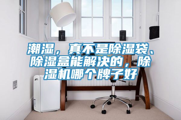 潮濕，真不是除濕袋、除濕盒能解決的，除濕機(jī)哪個(gè)牌子好