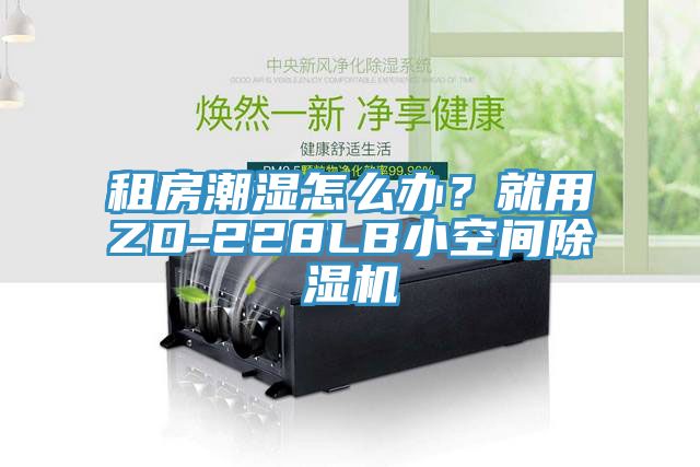 租房潮濕怎么辦？就用ZD-228LB小空間除濕機
