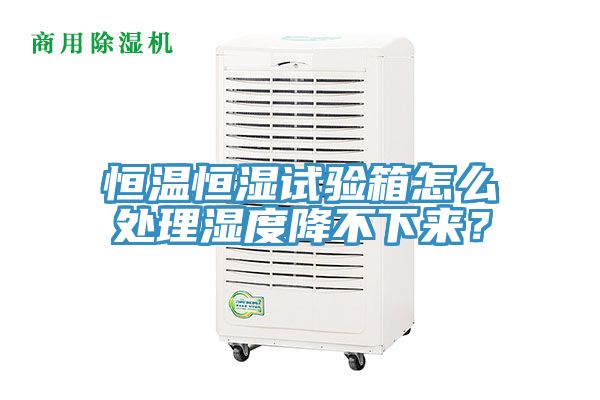 恒溫恒濕試驗(yàn)箱怎么處理濕度降不下來？