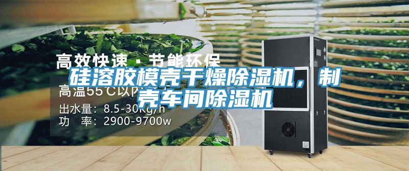 硅溶膠模殼干燥除濕機(jī)，制殼車間除濕機(jī)