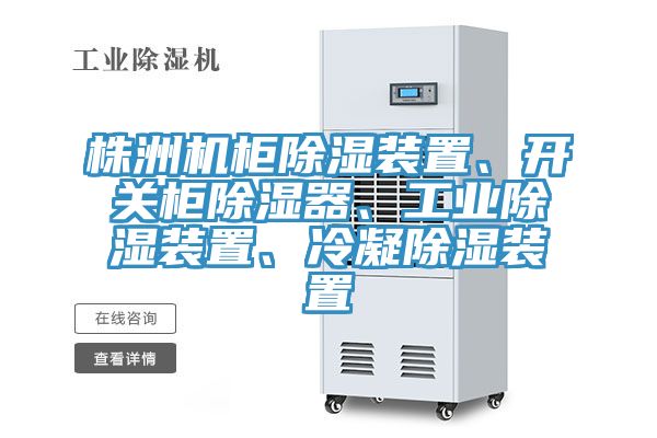 株洲機(jī)柜除濕裝置、開(kāi)關(guān)柜除濕器、工業(yè)除濕裝置、冷凝除濕裝置