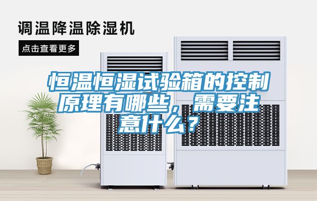 恒溫恒濕試驗(yàn)箱的控制原理有哪些，需要注意什么？