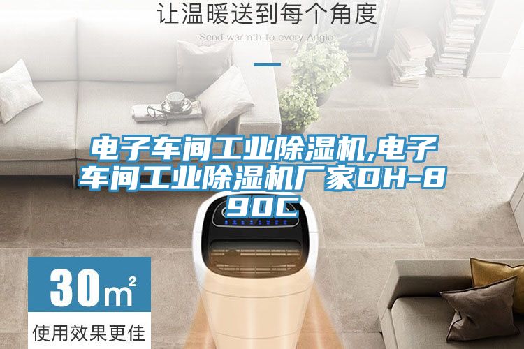 電子車(chē)間工業(yè)除濕機(jī),電子車(chē)間工業(yè)除濕機(jī)廠家DH-890C
