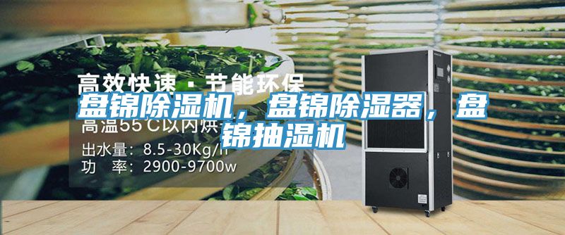 盤錦除濕機(jī)，盤錦除濕器，盤錦抽濕機(jī)